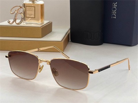 dior sunglass-176
